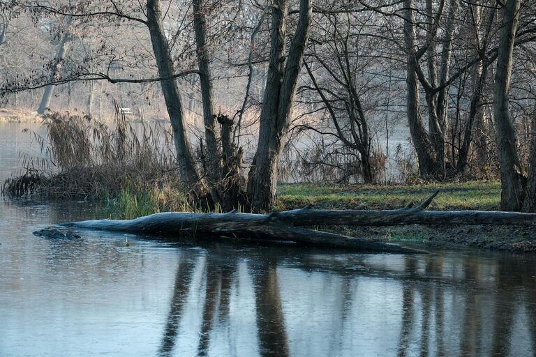 The Art of Organizing Your Living Space for a Calmer Home